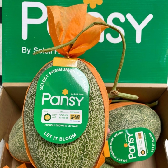 Dưa lưới Pansy