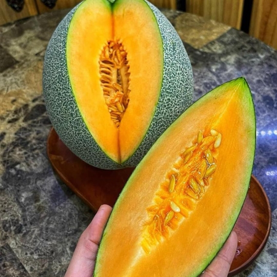 Dưa lưới mật Egarden