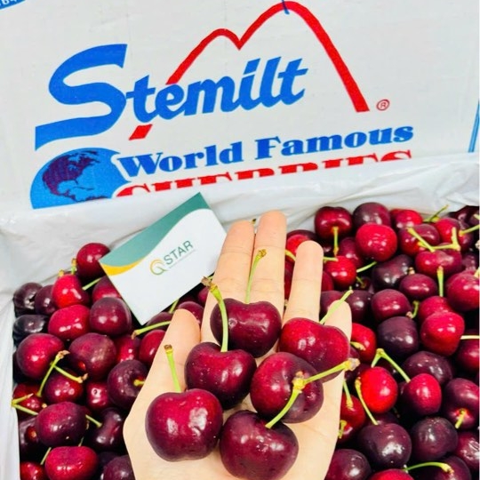 Cherry Mỹ