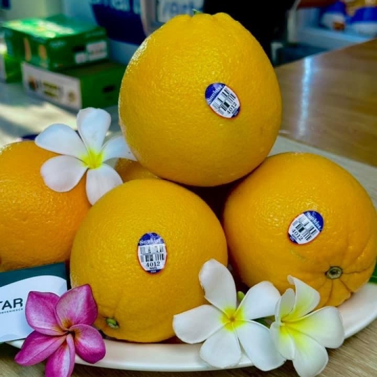 Cam Late Navel Mỹ S48