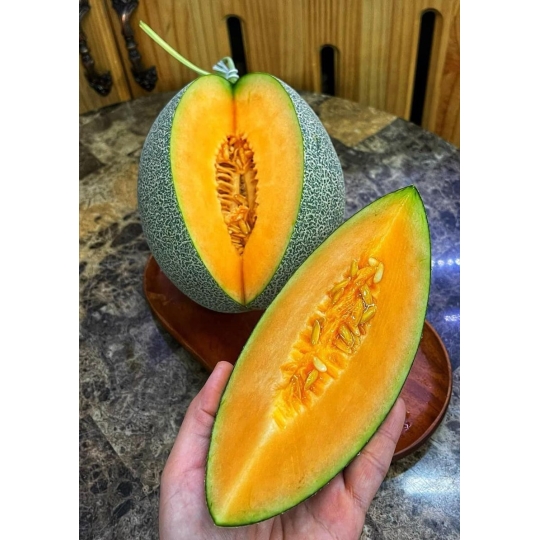 Dưa lưới mật Egarden